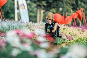 BIB: 
                            <button type="button" onclick="openModal(25932396)" class="btn btn-primary btn-sm float-right btn-popup" data-toggle="modal" data-target=".modal-high-quality">
                        <i class="fas fa-shopping-cart"></i> Add to Cart
                    </button>
                                            <button type="button" onclick="isThisMe(25932396, true)" class="btn btn-success btn-sm float-right btn-popup btn-isme hidden" data-toggle="tooltip" data-placement="bottom" title="นี่คือรูปของคุณใช่ไหม คลิกที่นี่เพื่อเอาเข้าอัลบั้ม">
                        <i class="fas fa-plus"></i> Add to album
                    </button>
                    <button type="button" onclick="isThisMe(25932396, false)" class="btn btn-warning btn-sm float-right btn-popup btn-isnotme hidden">
                        <i class="fas fa-ban"></i> Remove from album
                    </button>